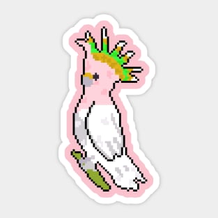 Colorful Wing bird Sticker